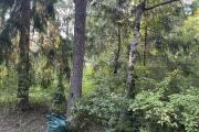 IMG_5758.JPG