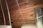 20260823_131043.jpg