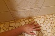 20260530_085028.jpg