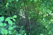 IMG_8405.jpeg