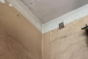 IMG_4951.jpeg