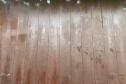 IMG_3713.jpeg