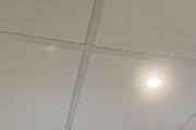 IMG_0979.jpeg