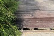 IMG_7806.jpeg