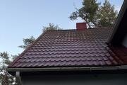 IMG_9292.jpeg
