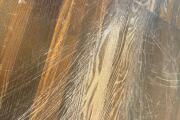 IMG_3466.jpeg
