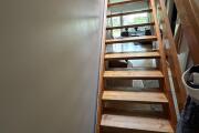 IMG_0972.jpeg