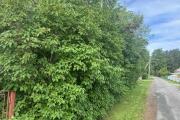 IMG_4941.jpeg