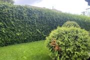 IMG_8930.jpeg