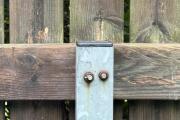 IMG_5195.jpeg