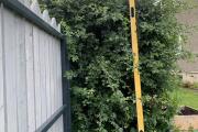 IMG_6198.jpeg