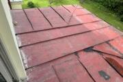 IMG_9541.jpeg