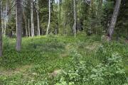 IMG_1574.jpeg
