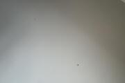 IMG_4248.jpeg
