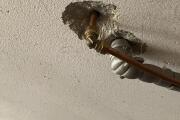 IMG_1679.jpeg