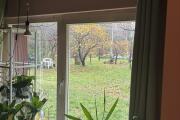IMG_2355.jpeg