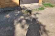 20260630_084728.jpg