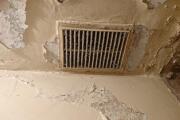 IMG_20260728_160656.jpg