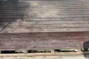IMG_7807.jpeg