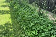 IMG_8403.jpeg