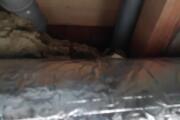 IMG_20260716_155946_359.jpg