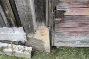 IMG_20260516_155540.jpg