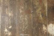 IMG_9095.jpeg