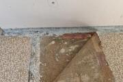 IMG_20260502_125721.jpg