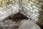 IMG_3890.jpeg