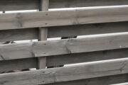 IMG_5220.jpeg