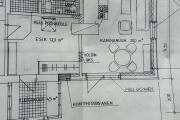 IMG_2353.jpeg