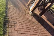 IMG_2729.jpeg