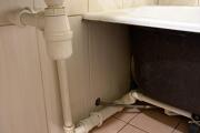IMG_0767.JPEG
