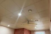 IMG_0356.jpeg
