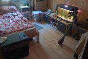 IMG_20260707_142210.jpg