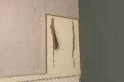 IMG_2722.jpeg