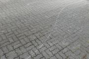 IMG_8408.jpeg