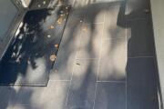 IMG_7226.jpeg
