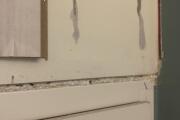 IMG_2724.jpeg