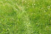 20260609_125540.jpg
