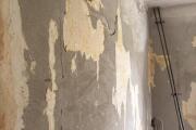 IMG_7992.jpeg