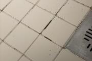 IMG_7941.jpeg