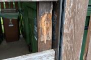 IMG_20260710_154048.jpg
