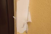 IMG_20260824_133011.jpg