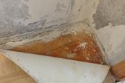 IMG_20260502_125831.jpg