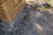 20260630_084719.jpg