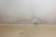 IMG_3486.jpeg