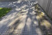 IMG_0062.jpeg