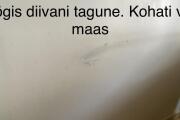IMG_0649.jpeg