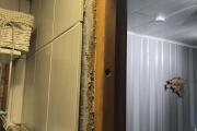 IMG_5153.HEIC
